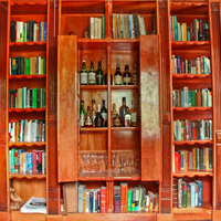 It is a speakeasy bookshelf, with a built in bar. Pretty sneaky sis!     <a target='_blank' href='http://pinterest.com/pin/create/link/?media=http%3A%2F%2Fwww.katwise.com%2Fimg%2Fhouse%2Fhouse_085.jpg' title='Pin It!'  <a class='icon fa fa-pinterest fa-fw fa-lg' ></a> 