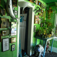 We call this the Jungle Room. I collected those bugs in my years of world travels. I can't get enough!    <a target='_blank' href='http://pinterest.com/pin/create/link/?media=http%3A%2F%2Fwww.katwise.com%2Fimg%2Fhouse%2Fhouse_090.jpg' title='Pin It!'  <a class='icon fa fa-pinterest fa-fw fa-lg' ></a> 